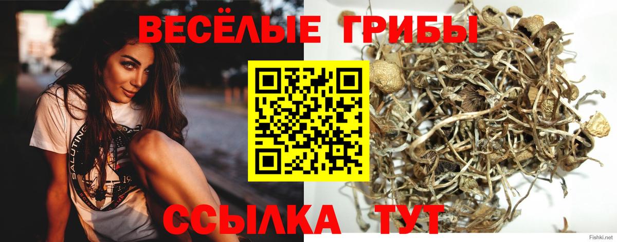 Галлюциногенные грибы GOLDEN TEACHER Урай