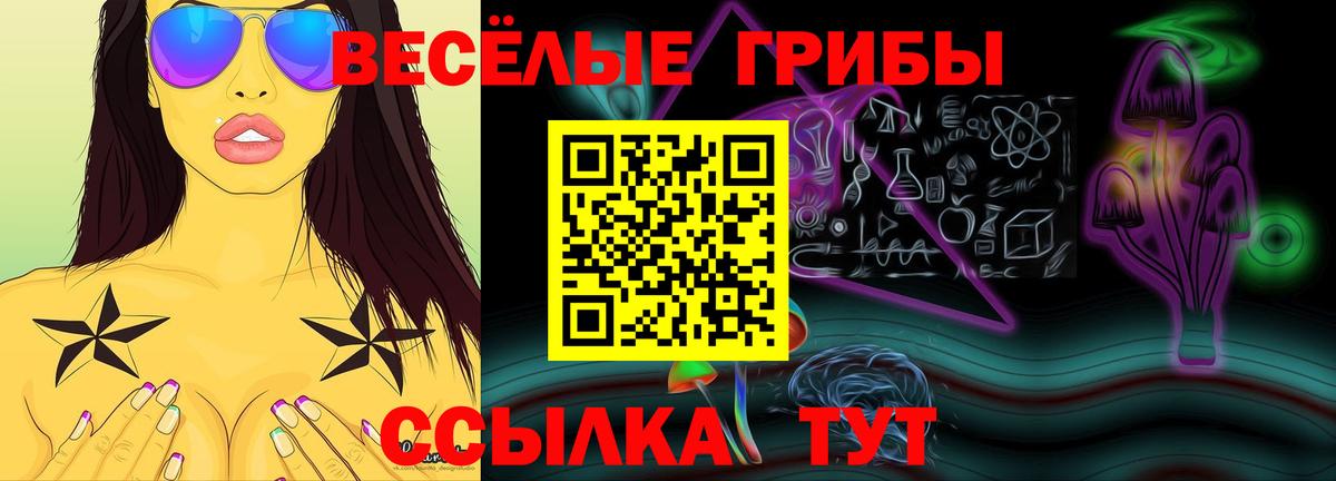 Псилоцибиновые грибы Psilocybine cubensis  Вход с VPN  Урай 